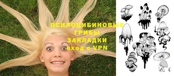бошки Бугульма