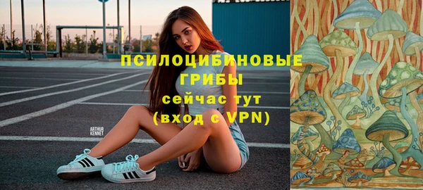 бошки Бугульма