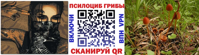 Псилоцибиновые грибы MAGIC MUSHROOMS Мосальск
