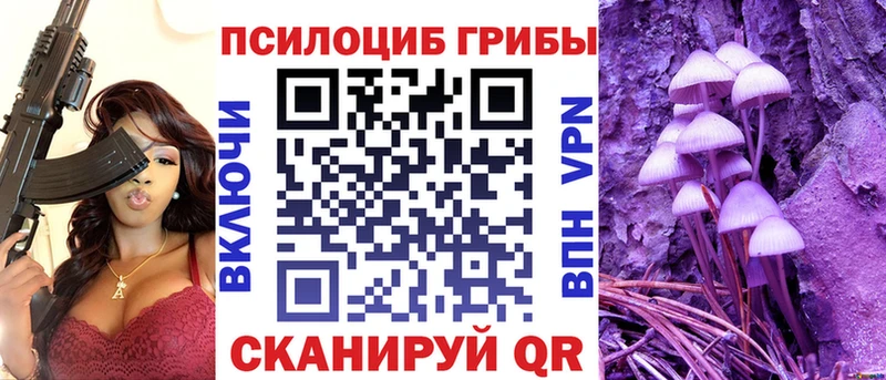 закладки  Мосальск  Псилоцибиновые грибы MAGIC MUSHROOMS 